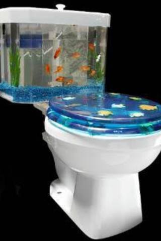 fish-tank-toilet